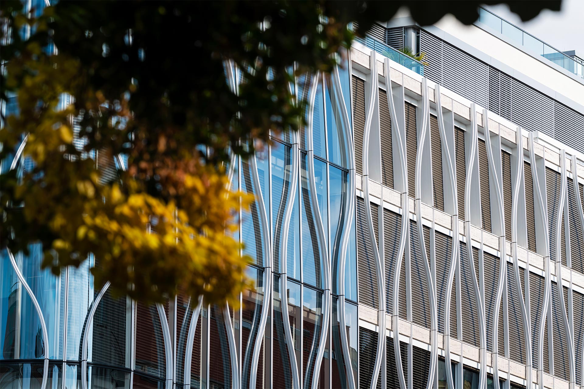 The Flow Building, the BOII PARTNERS offices